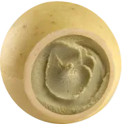 Pistacchio